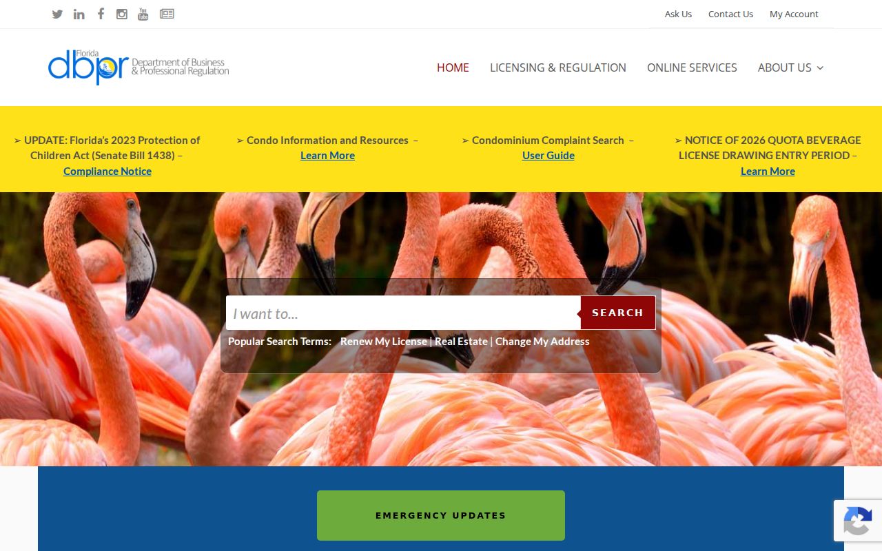 Florida DBPR license and location search used with Osceola County ZIP areas